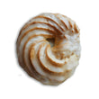 Honey Cruller
