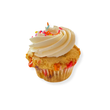 Vegan Funfetti Vanilla Cupcake (6 pack)