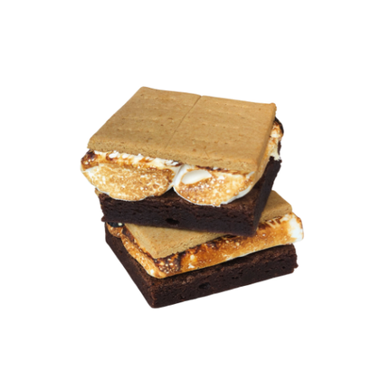 Extra Large Dessert Squares