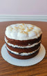 S'mores Cake